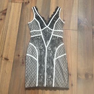 V neck lace Bebe dress